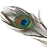 Maxbell 20 Pcs Peacock Eye Tail Feathers for Craft Mask Hat 9-13 Inch