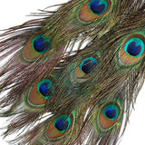 Maxbell 20 Pcs Peacock Eye Tail Feathers for Craft Mask Hat 9-13 Inch