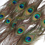 Maxbell 20 Pcs Peacock Eye Tail Feathers for Craft Mask Hat 9-13 Inch