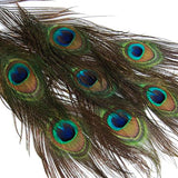 Maxbell 20 Pcs Peacock Eye Tail Feathers for Craft Mask Hat 9-13 Inch