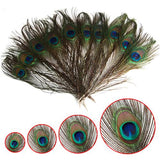 Maxbell 6x10 Pcs Peacock Eye Tail Feathers for Craft Mask Hat 9-13 Inch