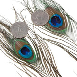 Maxbell 20 Pcs Peacock Eye Tail Feathers for Craft Mask Hat 9-13 Inch