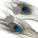 Maxbell 20 Pcs Peacock Ostrich Eye Tail Feathers for Craft Mask Hat 9-13 Inch