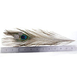 Maxbell 20 Pcs Peacock Eye Tail Feathers for Craft Mask Hat 9-13 Inch