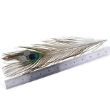 Maxbell 20 Pcs Peacock Eye Tail Feathers for Craft Mask Hat 9-13 Inch