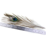 Maxbell 6x10 Pcs Peacock Eye Tail Feathers for Craft Mask Hat 9-13 Inch