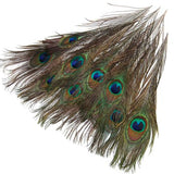 Maxbell 20 Pcs Peacock Eye Tail Feathers for Craft Mask Hat 9-13 Inch