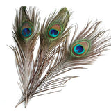 Maxbell 20 Pcs Peacock Eye Tail Feathers for Craft Mask Hat 9-13 Inch