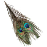 Maxbell 20 Pcs Peacock Eye Tail Feathers for Craft Mask Hat 9-13 Inch
