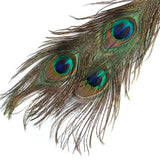 Maxbell 20 Pcs Peacock Eye Tail Feathers for Craft Mask Hat 9-13 Inch