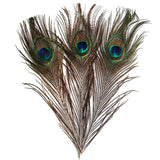 Maxbell 20 Pcs Peacock Ostrich Eye Tail Feathers for Craft Mask Hat 9-13 Inch