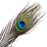 Maxbell 20 Pcs Peacock Eye Tail Feathers for Craft Mask Hat 9-13 Inch