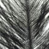 Maxbell 20 Pcs Peacock Ostrich Eye Tail Feathers for Craft Mask Hat 9-13 Inch