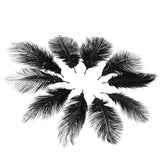 Maxbell 20 Pcs Peacock Ostrich Eye Tail Feathers for Craft Mask Hat 9-13 Inch