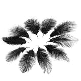 Maxbell 20 Pcs Peacock Ostrich Eye Tail Feathers for Craft Mask Hat 9-13 Inch
