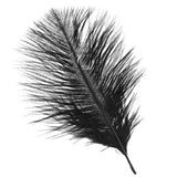 Maxbell 20 Pcs Peacock Ostrich Eye Tail Feathers for Craft Mask Hat 9-13 Inch