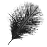 Maxbell 20 Pcs Peacock Ostrich Eye Tail Feathers for Craft Mask Hat 9-13 Inch