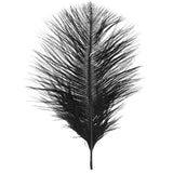 Maxbell 20 Pcs Peacock Ostrich Eye Tail Feathers for Craft Mask Hat 9-13 Inch