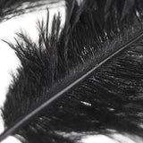 Maxbell 20 Pcs Peacock Ostrich Eye Tail Feathers for Craft Mask Hat 9-13 Inch