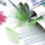 Maxbell 4x50Pcs Natural Catbrier Skeleton Leaf Leaves Card Scrapbook - Green