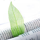 Maxbell 4x50Pcs Natural Catbrier Skeleton Leaf Leaves Card Scrapbook - Green