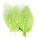 Maxbell 4x50Pcs Natural Catbrier Skeleton Leaf Leaves Card Scrapbook - Green