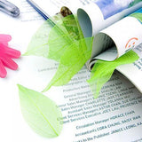 Maxbell 100x Catbrier Skeleton Green Leaves Wedding Favor Scrapbook Card DIY Green +Pink