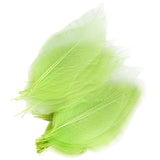 Maxbell 6x50Pcs Natural Catbrier Skeleton Leaf Leaves Card Scrapbook - Green