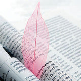 Maxbell 100 Mix Skeleton Leaves Wedding Favor Card Decoration Scrapbooking DIY 15-21cm