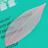 Maxbell 100x Catbrier Skeleton Green Leaves Wedding Favor Scrapbook Card DIY Green +Pink