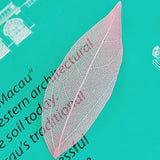 Maxbell 100 Mix Skeleton Leaves Wedding Favor Card Decoration Scrapbooking DIY 15-21cm