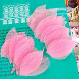 Maxbell 100 Mix Skeleton Leaves Wedding Favor Card Decoration Scrapbooking DIY 15-21cm