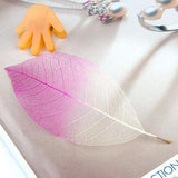 Maxbell 4x50Pcs Natural Magnolia Skeleton Leaf Leaves Card Scrapbook - Pink White