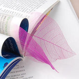 Maxbell 100 Pieces Natural Magnolia Skeleton Leaf Leaves for DIY Crafts Purple Blue - Aladdin Shoppers