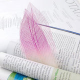 Maxbell 100pcs Natural Leaves Card Scrapbook  Wedding Card  Scrapbooking DIY