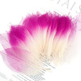 Maxbell 100pcs Natural Leaves Card Scrapbook  Wedding Card  Scrapbooking DIY