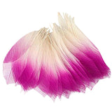 Maxbell 50 Skeleton Leaves Magnolia Tree Natural Scrapbooking Craft DIY CARD Wedding Pink White - Aladdin Shoppers