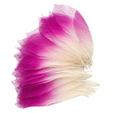 Maxbell 6x50Pcs Natural Magnolia Skeleton Leaf Leaves Card Scrapbook - Pink White