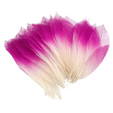 Maxbell 50 Skeleton Leaves Magnolia Tree Natural Scrapbooking Craft DIY CARD Wedding Pink White - Aladdin Shoppers