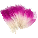 Maxbell 6x50Pcs Natural Magnolia Skeleton Leaf Leaves Card Scrapbook - Pink White