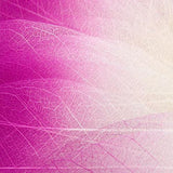 Maxbell 50 Skeleton Leaves Magnolia Tree Natural Scrapbooking Craft DIY CARD Wedding Pink White