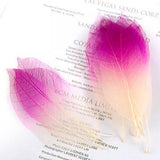 Maxbell 100 Pieces Natural Magnolia Skeleton Leaf Leaves for DIY Crafts Purple Blue - Aladdin Shoppers