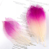 Maxbell 100pcs Natural Leaves Card Scrapbook  Wedding Card  Scrapbooking DIY