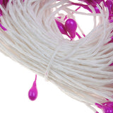 Maxbell 3x 170pcs Pearl Double Tip Floral Stamens DIY Cake Sugar Craft Wedding Decor