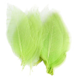 Maxbell 100 x Natural Catbrier Skeleton Leaf Leaves Card Scrapbook - Green