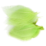 Maxbell 100 x Natural Catbrier Skeleton Leaf Leaves Card Scrapbook - Green