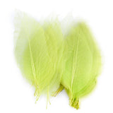 Maxbell 100 x Natural Catbrier Skeleton Leaf Leaves Card Scrapbook - Green