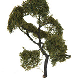 Maxbell Maple Trees Model Ash Trees Scenery Landscape Model Architecture Building
