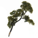 Maxbell Maple Trees Model Ash Trees Scenery Landscape Model Architecture Building