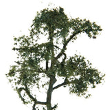 Maxbell 15x3.54 Inch Scenery Landscape Model Tree Sycamore Layout Decors